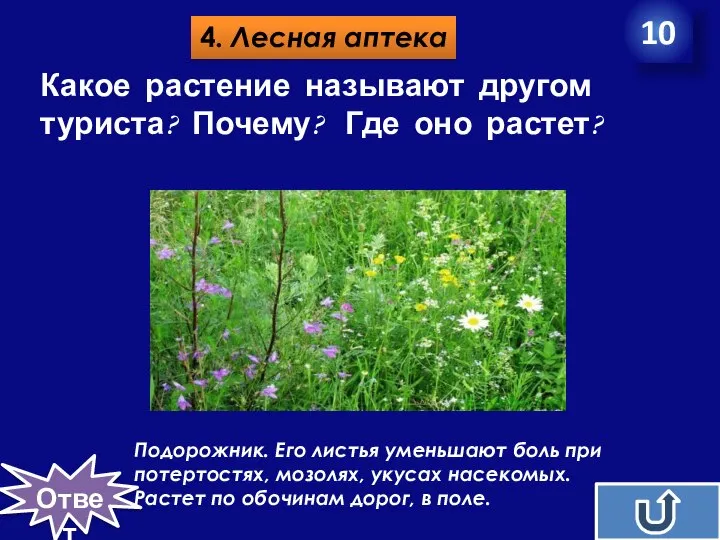 4. Лесная аптека 10 Какое растение называют другом туриста? Почему? Где оно