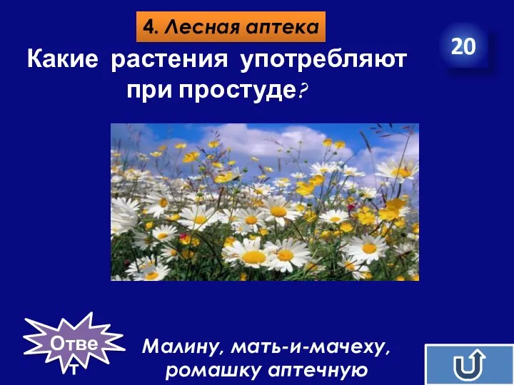 4. Лесная аптека 20 Какие растения употребляют при простуде? Малину, мать-и-мачеху, ромашку аптечную