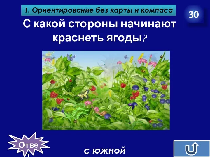 С какой стороны начинают краснеть ягоды? 30 1. Ориентирование без карты и компаса с южной