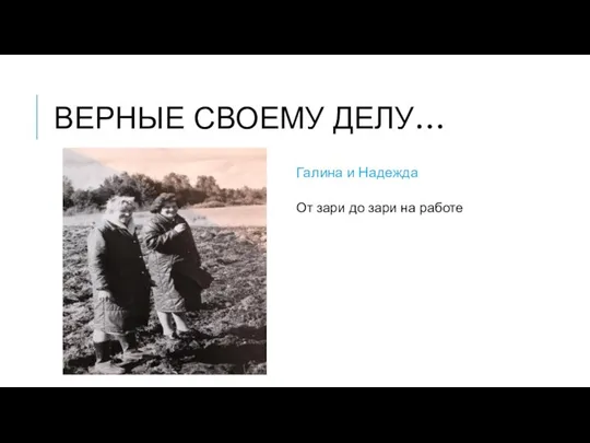 ВЕРНЫЕ СВОЕМУ ДЕЛУ… Галина и Надежда От зари до зари на работе