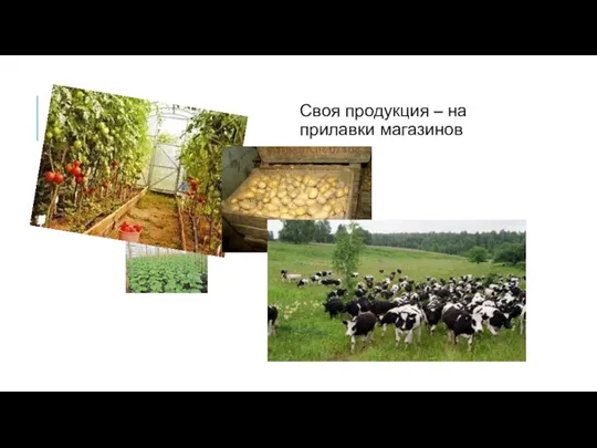 Своя продукция – на прилавки магазинов