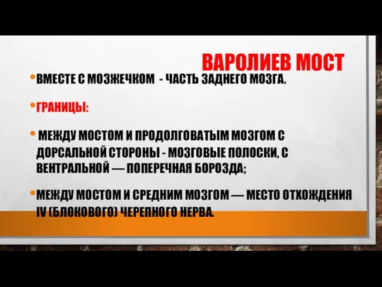 ВАРОЛИЕВ МОСТ ВМЕСТЕ С МОЗЖЕЧКОМ - ЧАСТЬ ЗАДНЕГО МОЗГА. ГРАНИЦЫ: МЕЖДУ МОСТОМ