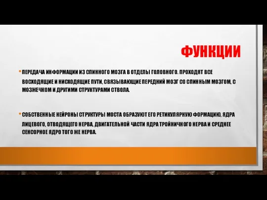 ФУНКЦИИ ПЕРЕДАЧА ИНФОРМАЦИИ ИЗ СПИННОГО МОЗГА В ОТДЕЛЫ ГОЛОВНОГО. ПРОХОДЯТ ВСЕ ВОСХОДЯЩИЕ