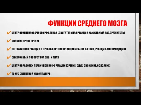 ФУНКЦИИ СРЕДНЕГО МОЗГА ЦЕНТР ОРИЕНТИРОВОЧНОГО РЕФЛЕКСА (ДВИГАТЕЛЬНАЯ РЕАКЦИЯ НА СИЛЬНЫЙ РАЗДРАЖИТЕЛЬ) БИНОКУЛЯРНОЕ