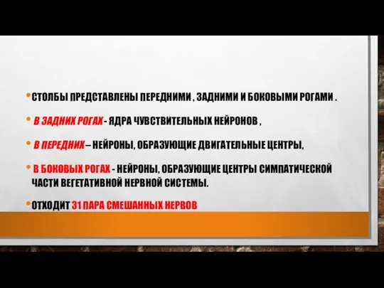 СТОЛБЫ ПРЕДСТАВЛЕНЫ ПЕРЕДНИМИ , ЗАДНИМИ И БОКОВЫМИ РОГАМИ . В ЗАДНИХ РОГАХ