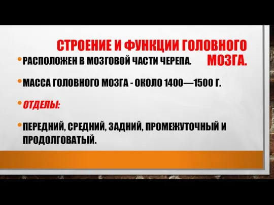 СТРОЕНИЕ И ФУНКЦИИ ГОЛОВНОГО МОЗГА. РАСПОЛОЖЕН В МОЗГОВОЙ ЧАСТИ ЧЕРЕПА. МАССА ГОЛОВНОГО