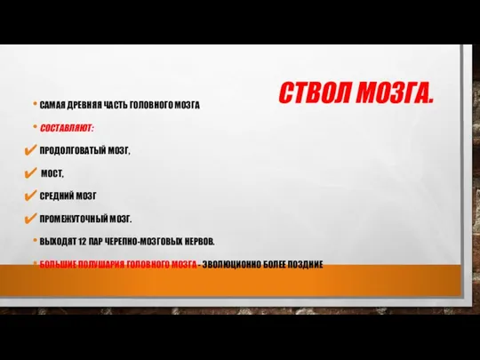 СТВОЛ МОЗГА. САМАЯ ДРЕВНЯЯ ЧАСТЬ ГОЛОВНОГО МОЗГА СОСТАВЛЯЮТ: ПРОДОЛГОВАТЫЙ МОЗГ, МОСТ, СРЕДНИЙ