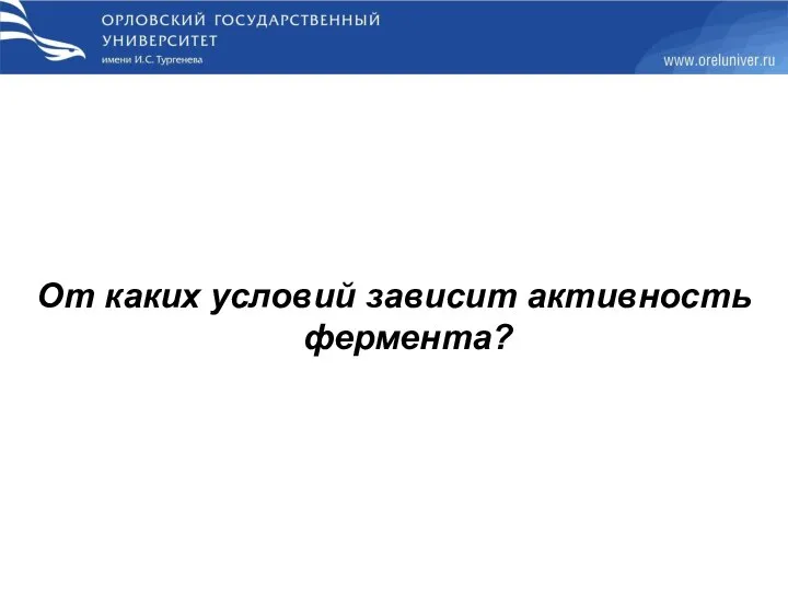 От каких условий зависит активность фермента?