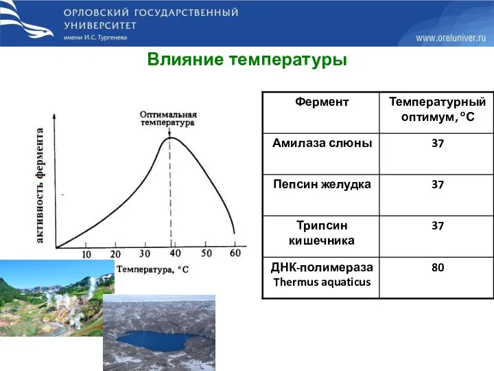 Влияние температуры