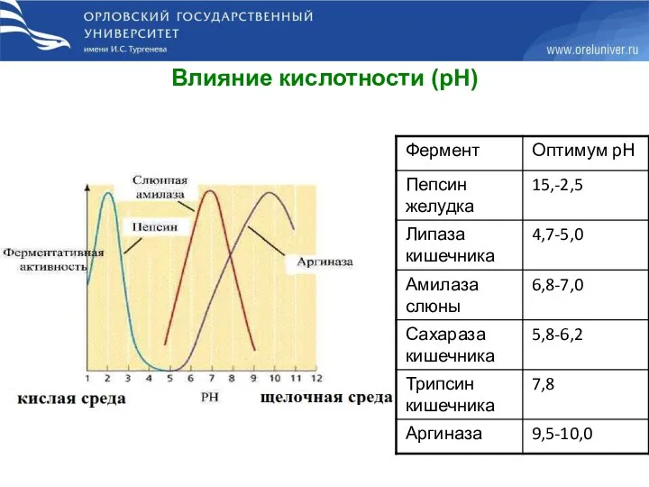 Влияние кислотности (рН)