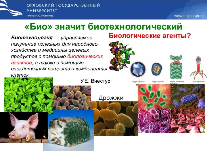 «Био» значит биотехнологический Биотехнология — управляемое получение полезных для народного хозяйства и