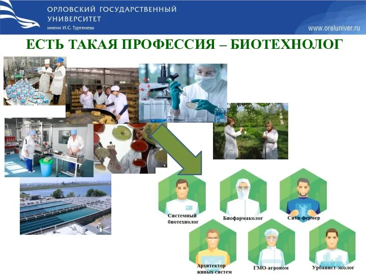 ЕСТЬ ТАКАЯ ПРОФЕССИЯ – БИОТЕХНОЛОГ