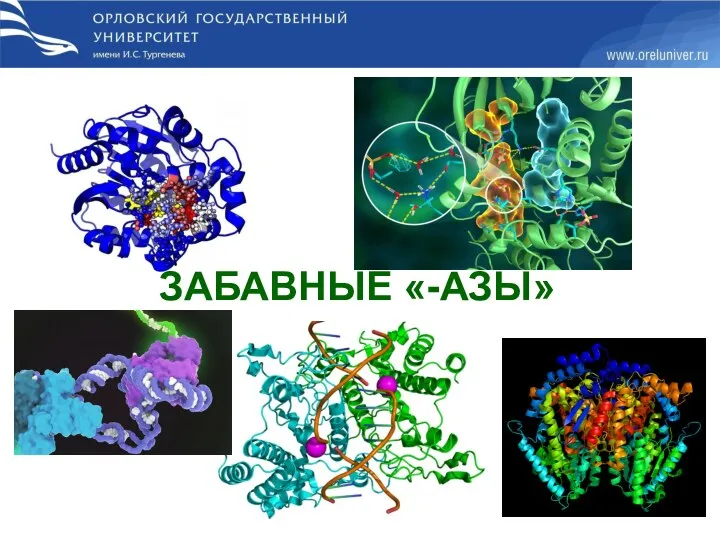 ЗАБАВНЫЕ «-АЗЫ»