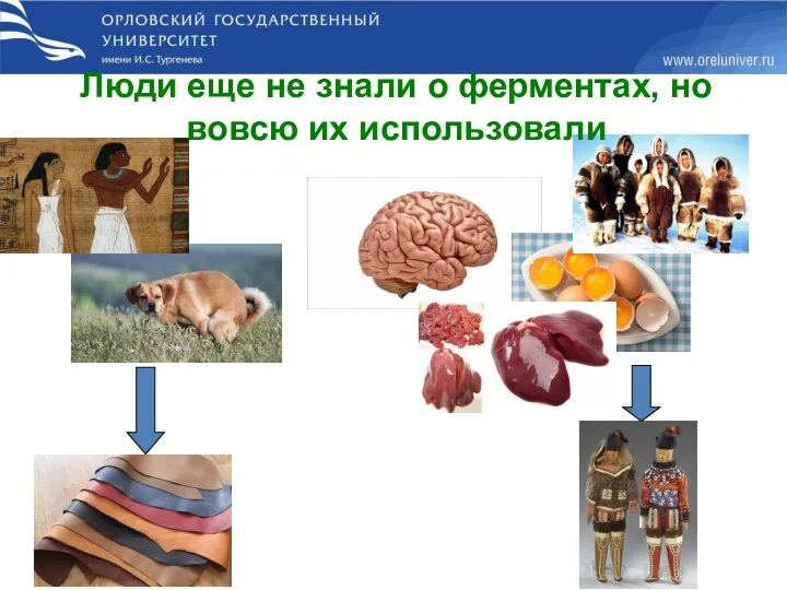 Люди еще не знали о ферментах, но вовсю их использовали