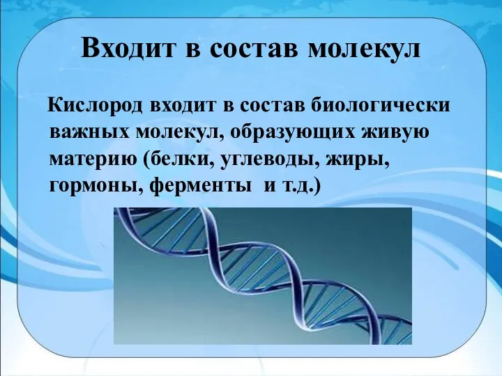 Входит в состав молекул Кислород входит в состав биологически важных молекул, образующих