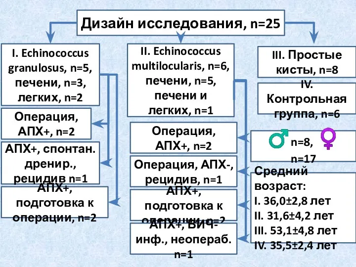 Дизайн исследования, n=25 I. Echinococcus granulosus, n=5, печени, n=3, легких, n=2 II.