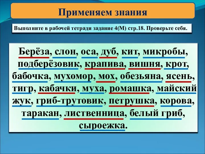 Применяем знания Выполните в рабочей тетради задание 4(М) стр.18. Проверьте себя. Берёза,