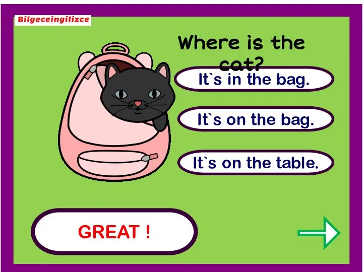 GREAT ! It`s on the table. It`s on the bag. It`s in