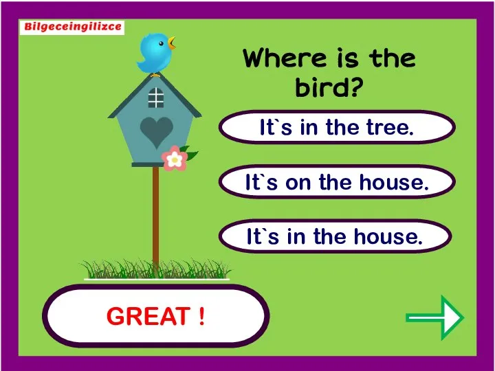 GREAT ! It`s in the tree. It`s in the house. It`s on