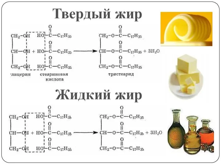 Твердый жир Жидкий жир