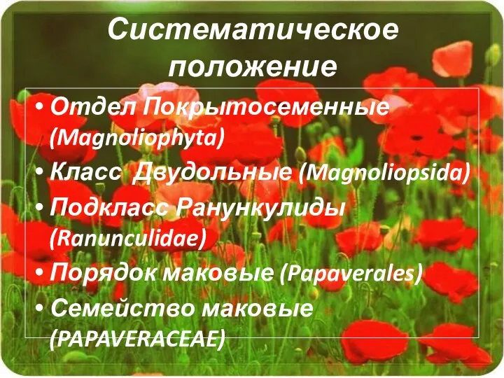 Систематическое положение Отдел Покрытосеменные (Magnoliophyta) Класс Двудольные (Magnoliopsida) Подкласс Ранункулиды (Ranunculidae) Порядок