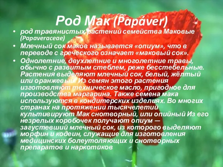 Род Мак (Papáver) род травянистых растений семейства Маковые (Papaveraceae) Млечный сок маков