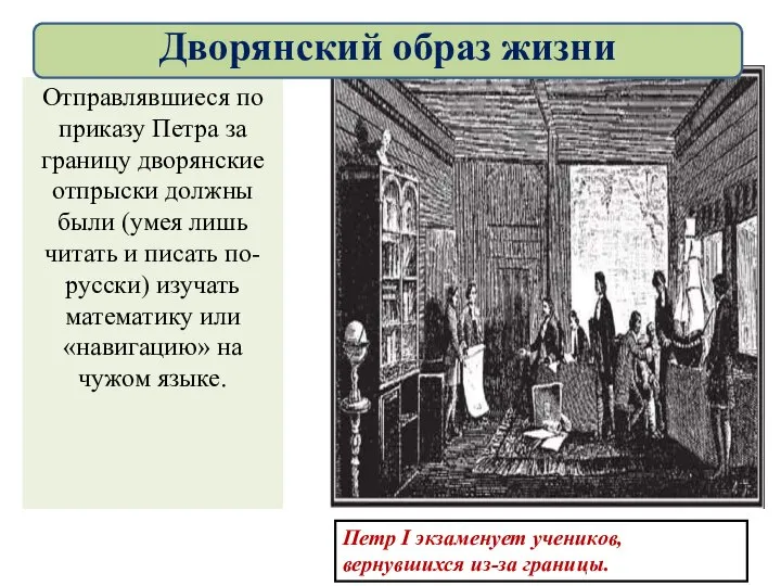 Отправлявшиеся по приказу Петра за границу дворянские отпрыски должны были (умея лишь