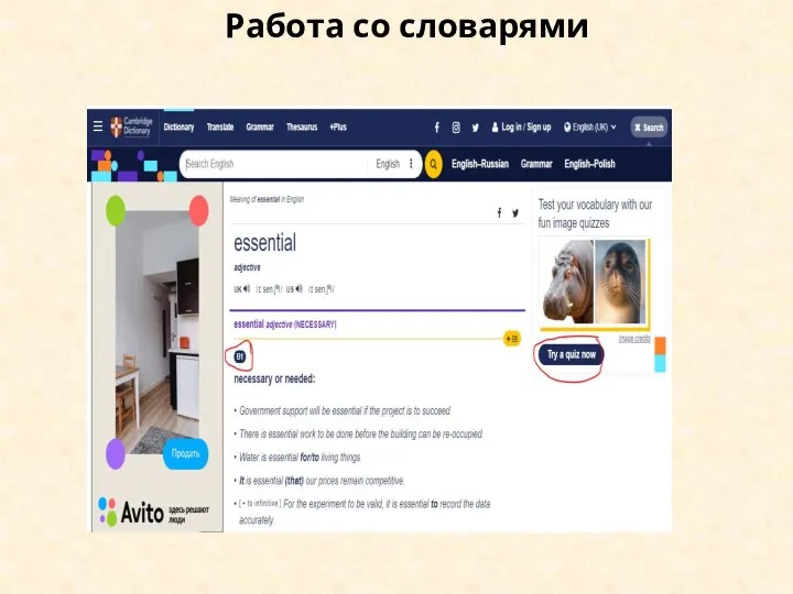 Работа со словарями