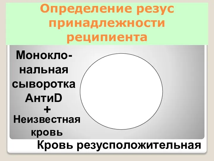 Определение резус принадлежности реципиента Монокло-нальная сыворотка АнтиD Кровь резусположительная + Неизвестная кровь