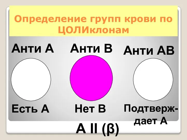 Определение групп крови по ЦОЛИклонам Анти А Анти В А II (β)