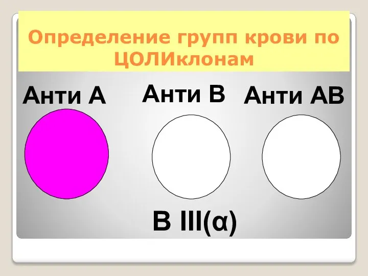 Определение групп крови по ЦОЛИклонам Анти А Анти АВ В III(α) Анти В