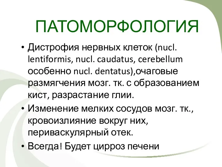 ПАТОМОРФОЛОГИЯ Дистрофия нервных клеток (nucl. lentiformis, nucl. caudatus, cerebellum особенно nucl. dentatus),очаговые