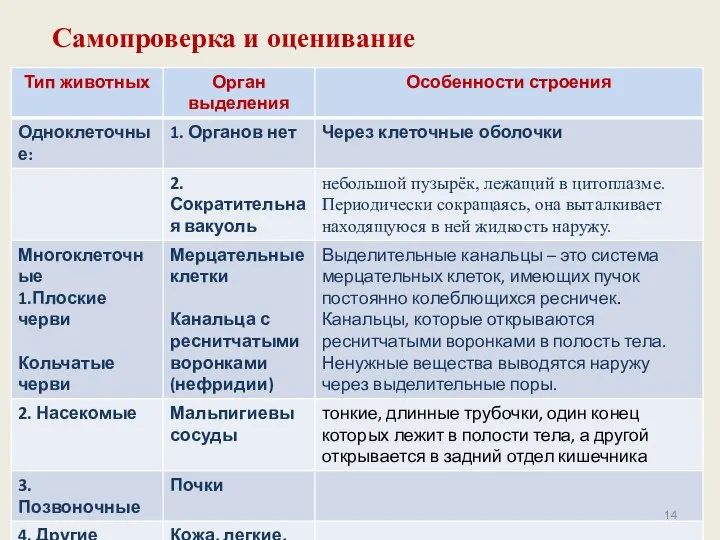 Самопроверка и оценивание