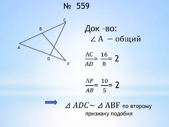 № 559 В С D F А