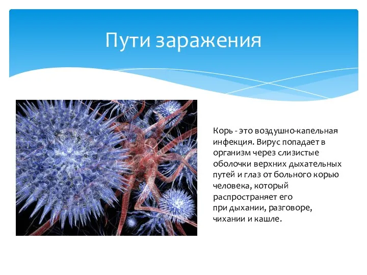 Пути заражения Корь - это воздушно-капельная инфекция. Вирус попадает в организм через