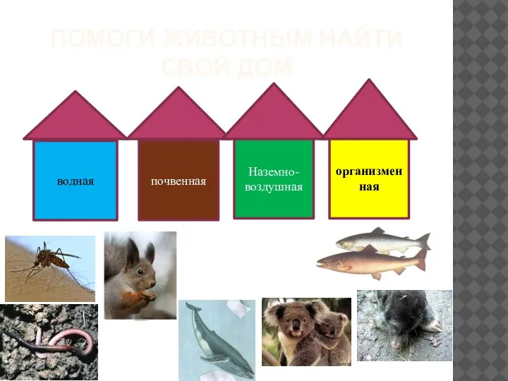 ПОМОГИ ЖИВОТНЫМ НАЙТИ СВОЙ ДОМ водная почвенная Наземно-воздушная организменная