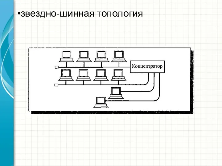 звездно-шинная топология