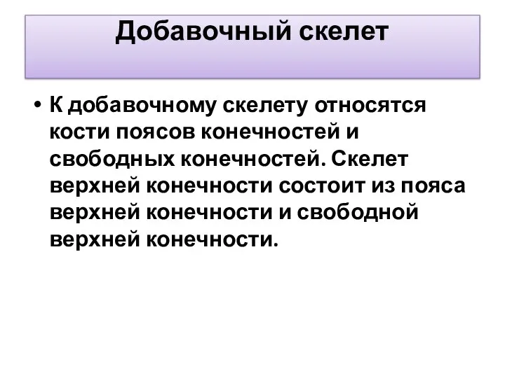 Добавочный скелет К добавочному скелету относятся кости поясов конечностей и свободных конечностей.