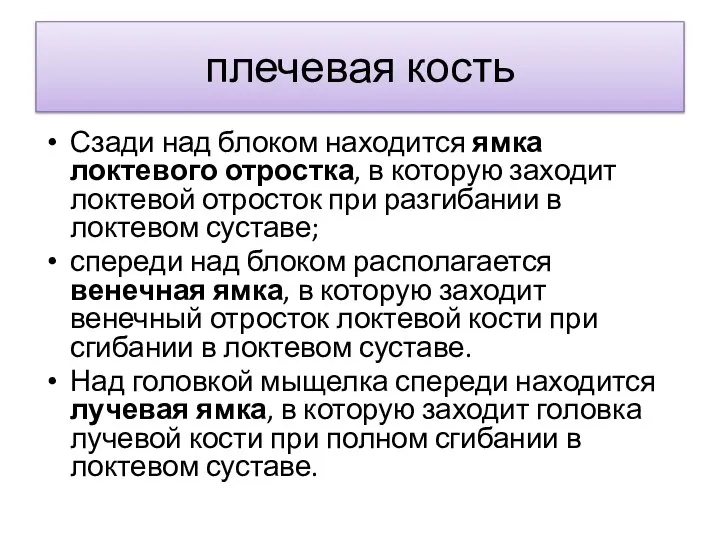 плечевая кость Сзади над блоком находится ямка локтевого отростка, в которую заходит