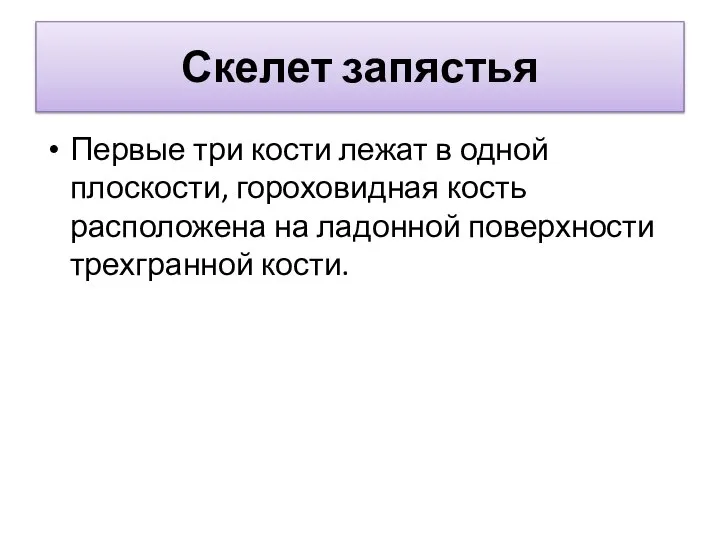 Скелет запястья Первые три кости лежат в одной плоскости, гороховидная кость расположена