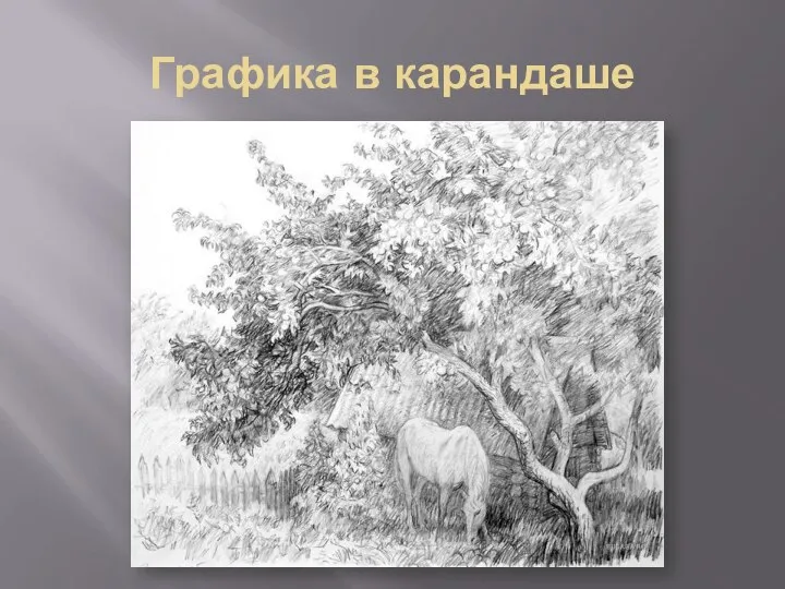 Графика в карандаше