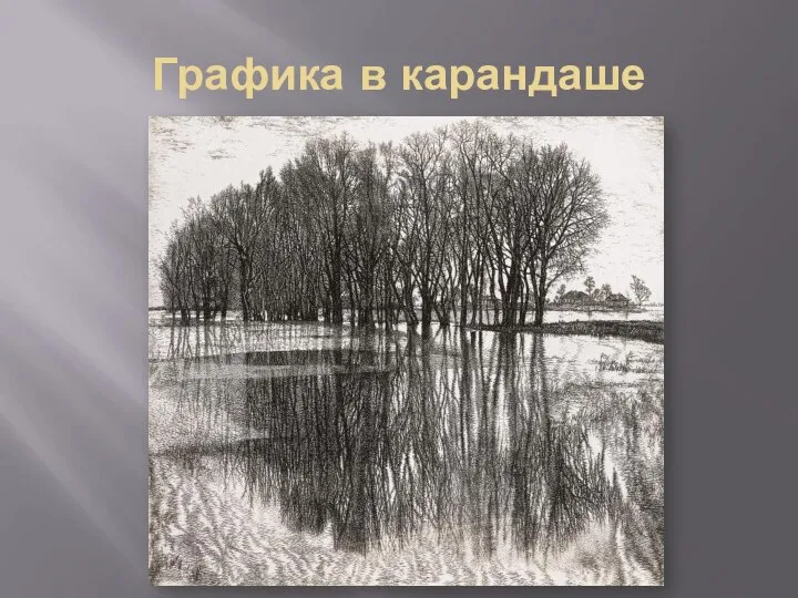 Графика в карандаше