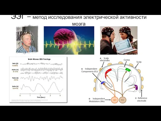 ЭЭГ – метод исследования электрической активности мозга