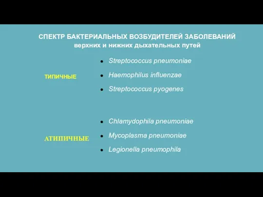 Streptococcus pneumoniae Haemophilus influenzae Streptococcus pyogenes Chlamydophila pneumoniae Mycoplasma pneumoniae Legionella pneumophila