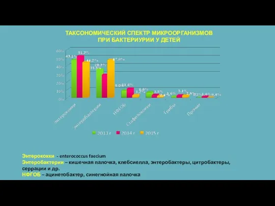 ТАКСОНОМИЧЕСКИЙ СПЕКТР МИКРООРГАНИЗМОВ ПРИ БАКТЕРИУРИИ У ДЕТЕЙ Энтерококки - enterococcus faecium Энтеробактерии