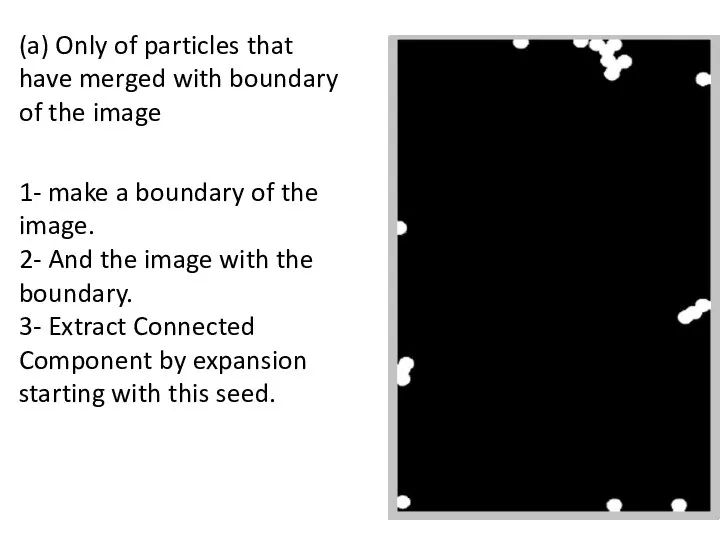 (a) Only of particles that have merged with boundary of the image