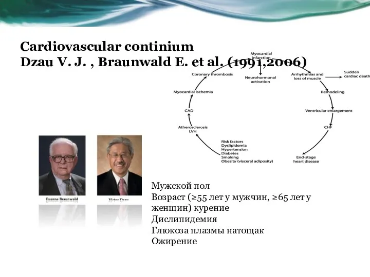 Cardiovascular continium Dzau V. J. , Braunwald E. et al. (1991,2006) Мужской