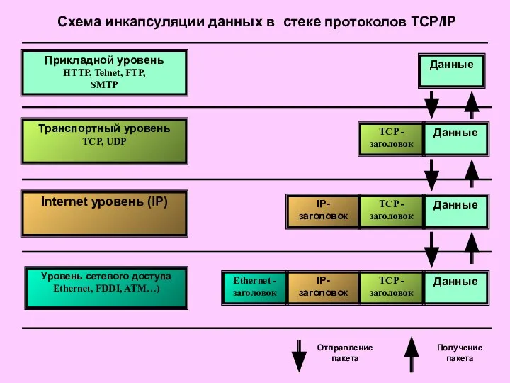 Схема инкапсуляции данных в стеке протоколов TCP/IP Прикладной уровень HTTP, Telnet, FTP,