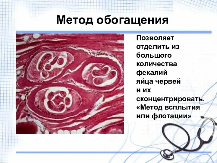 Метод обогащения Позволяет отделить из большого количества фекалий яйца червей и их