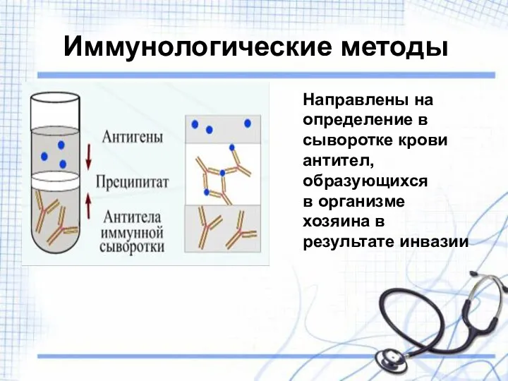 Иммунологические методы Направлены на определение в сыворотке крови антител, образующихся в организме хозяина в результате инвазии